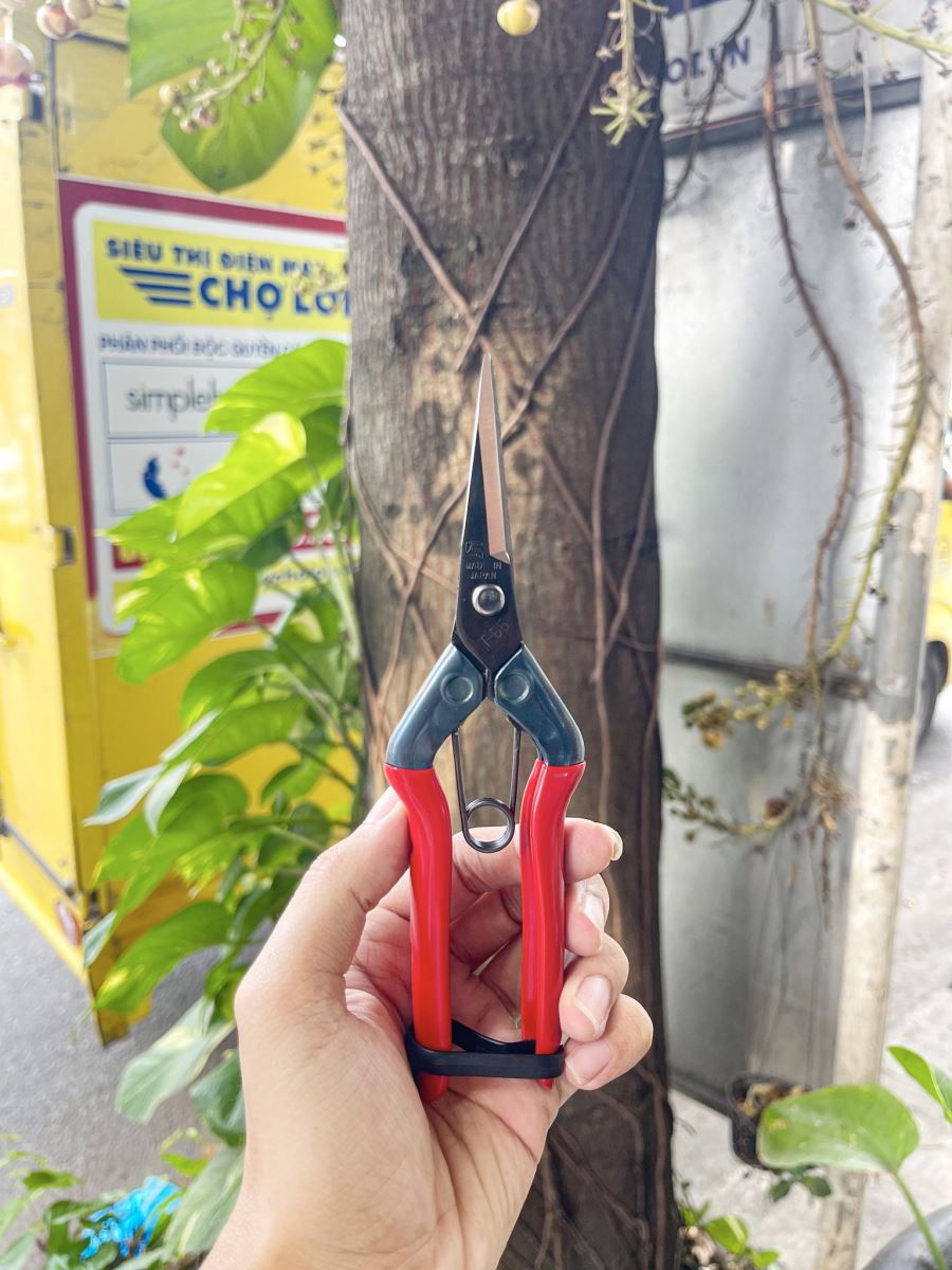 Kéo tỉa cành Chikamasa T-550