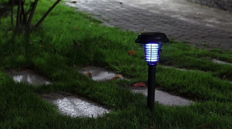 Góc giải đáp: Sử dụng đèn bắt muỗi Đại Sinh có hiệu quả không?