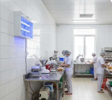 Đèn diệt côn trùng Đại Sinh DS-D152N