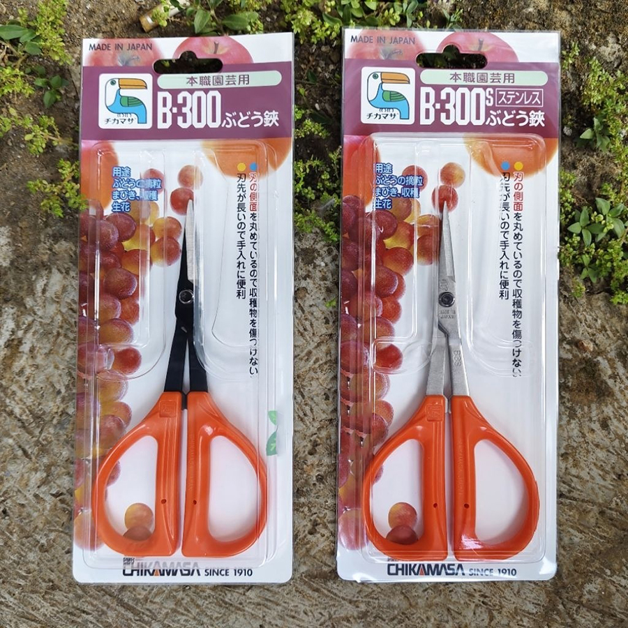 Kéo cắt nho Chikamasa B-300