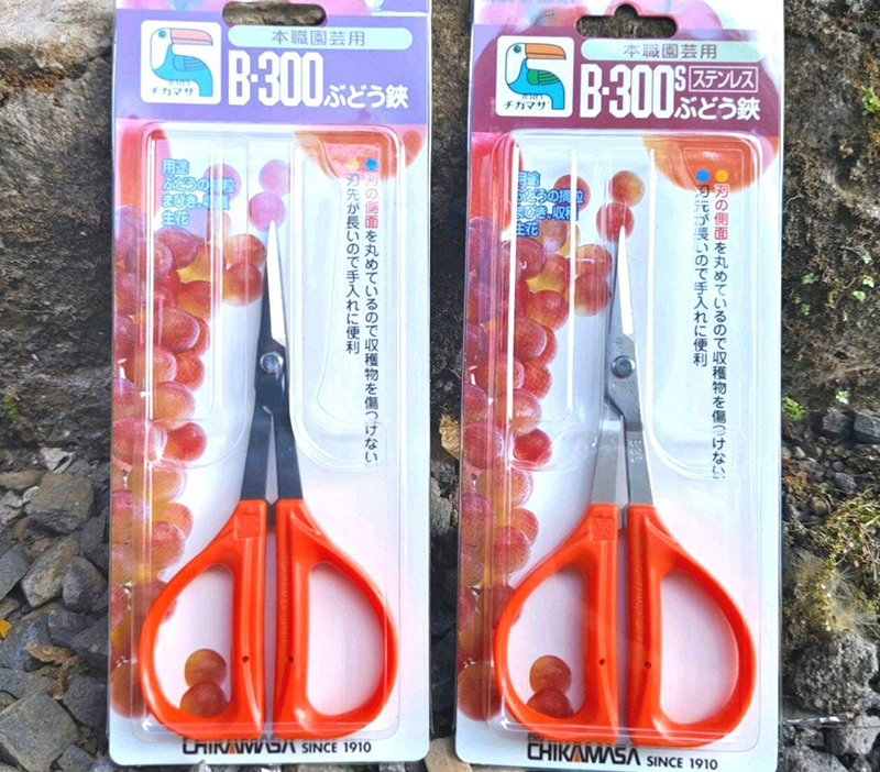 Kéo cắt nho Chikamasa B-300S