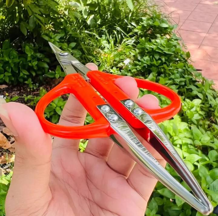 Kéo cắt nho Chikamasa B-300SU