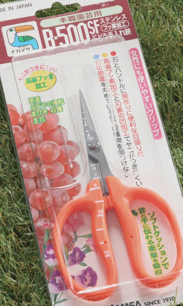 Kéo cắt nho Chikamasa B-500SL
