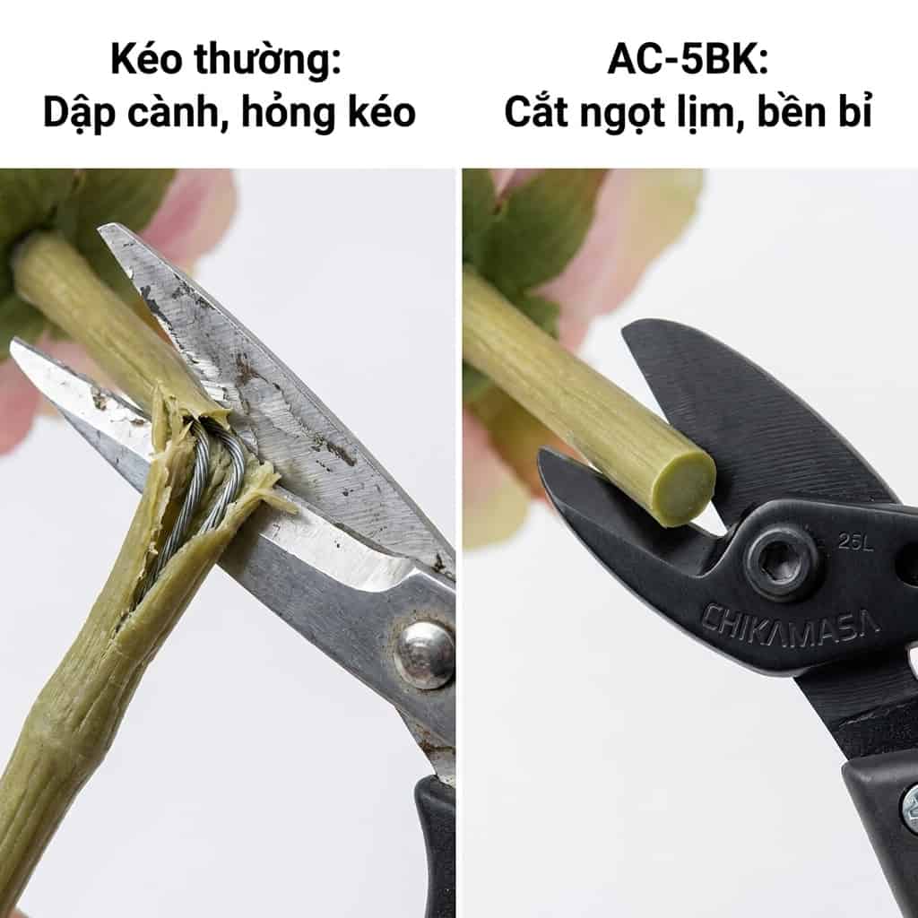 Kéo Chikamasa AC-5BK thay thế mã AC-5V