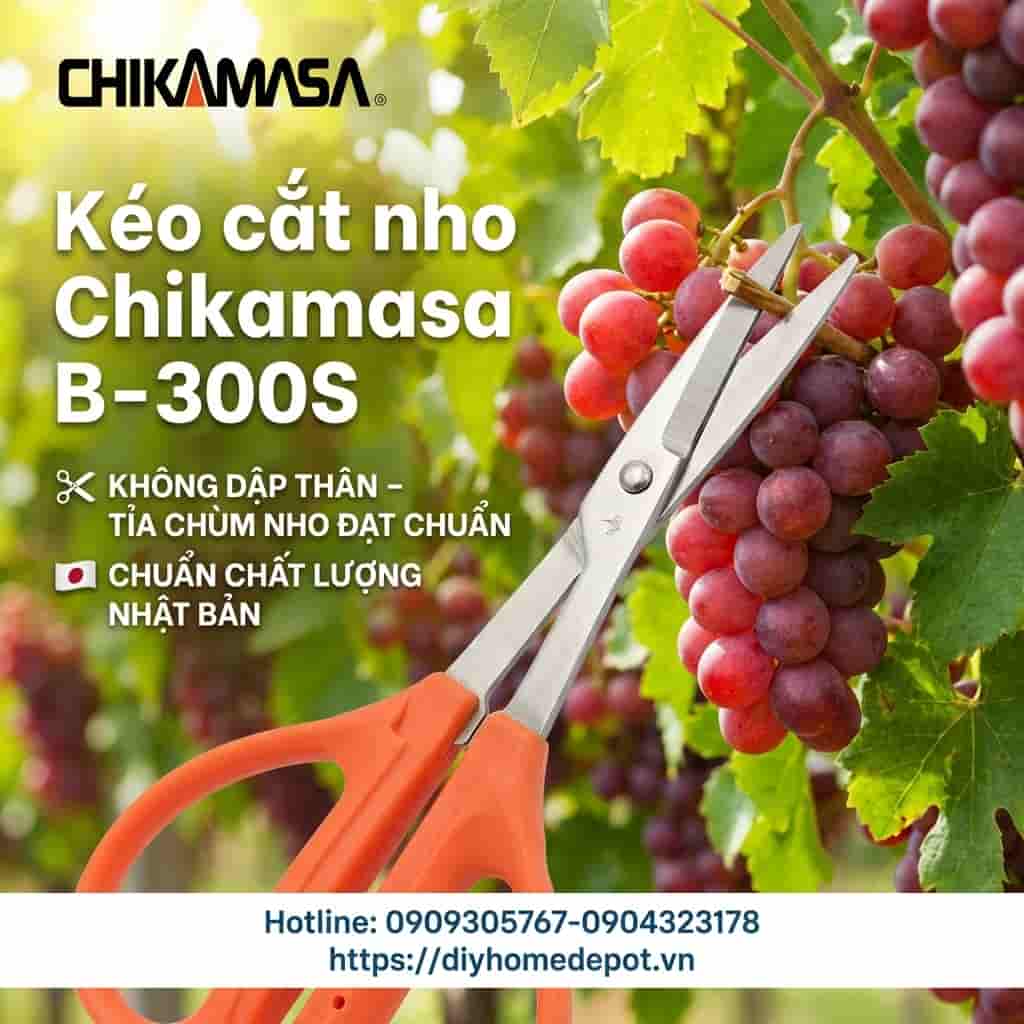 keo-cat-nho-chikamasa-b-300