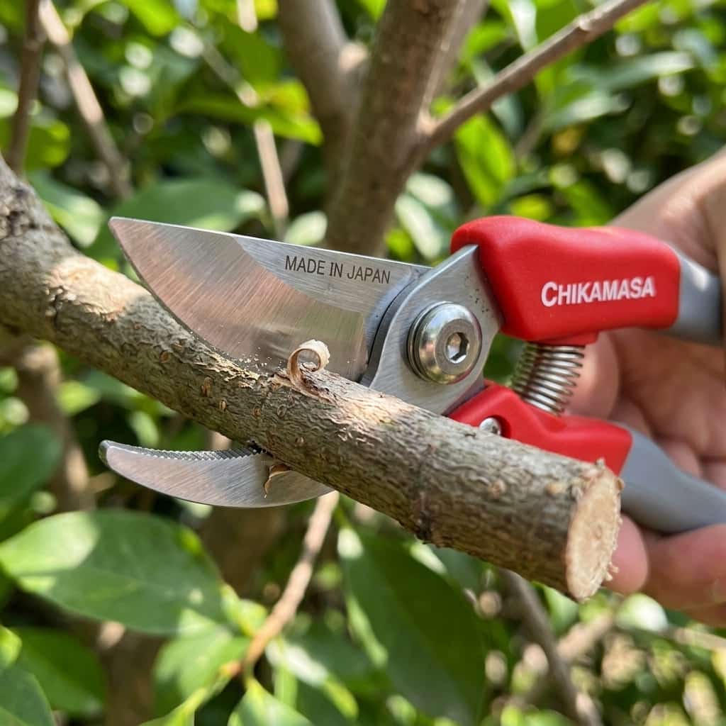 Lưỡi thép Nhật Bản của kéo cắt cành Chikamasa PS-8PLUS-R