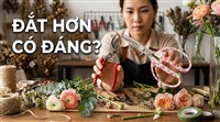 KÉO NHẬT ĐẮT GẤP 3 LẦN, CÓ THỰC SỰ ĐÁNG TIỀN?