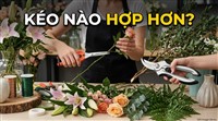 KÉO THẲNG HAY KÉO CONG? ĐỪNG CHỌN SAI