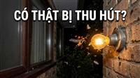 kien-ba-khoang-co-bi-den-diet-con-trung-thu-hut-khong