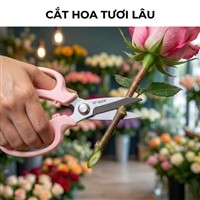 Mẹo Cắt Cành Giữ Hoa Tươi Lâu Bền Bỉ Và Sai Lầm Làm Mẻ Kéo Cắt Hoa Chikamasa