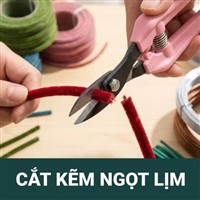 Mẹo Cắt Kẽm Nhung Sắc Lẹm Không Tưa Xơ Và Bí Quyết Bảo Vệ Kéo Chikamasa