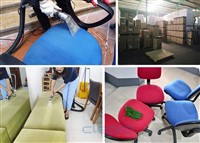 Tổng Hợp Các Loại Máy Giặt Thảm Phổ Biến: Từ Cầm Tay Đến Liên Hợp