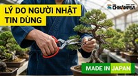 Vì Sao Nhà Vườn Nhật Chuộng Kéo Chikamasa?