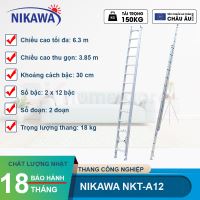 Thang nhôm 2 đoạn Nikawa NKT-A12