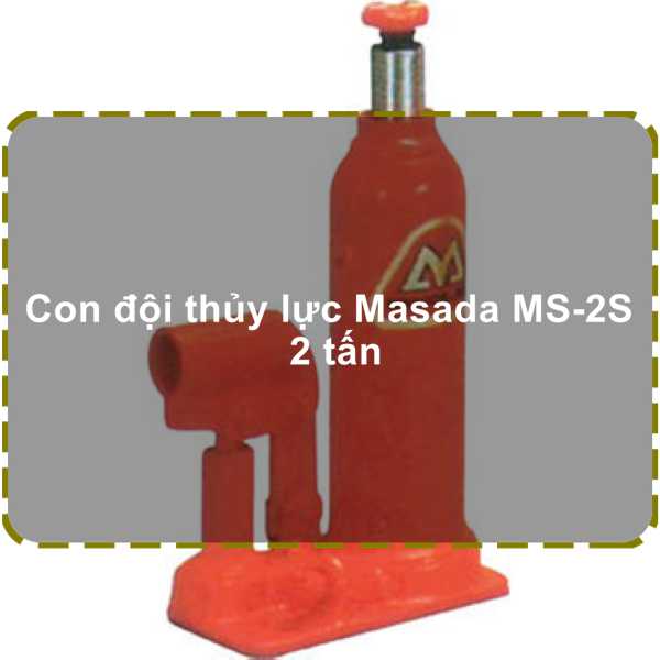 Con đội Masada Ms-2 có tải trọng 2 tấn